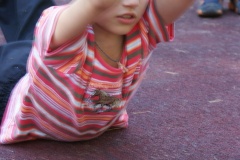 SONY DSC